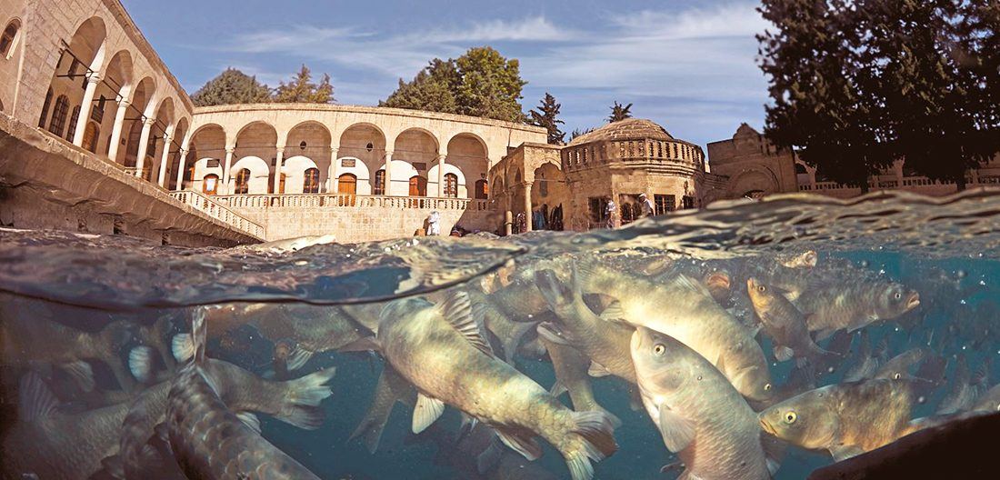 Şanlıurfa Balıklıgöl ve Halilürrahman Camii